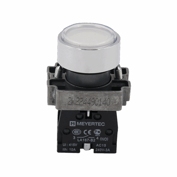 MTB2-BAF11