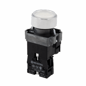 MTB2-BWF3161