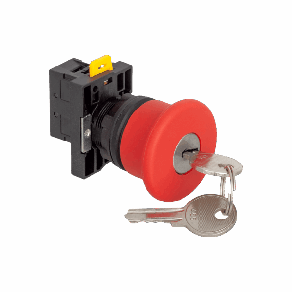 MTB2-ES142