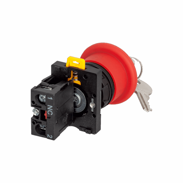 MTB2-ES142