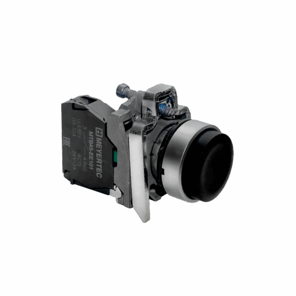 MTB4-BL21