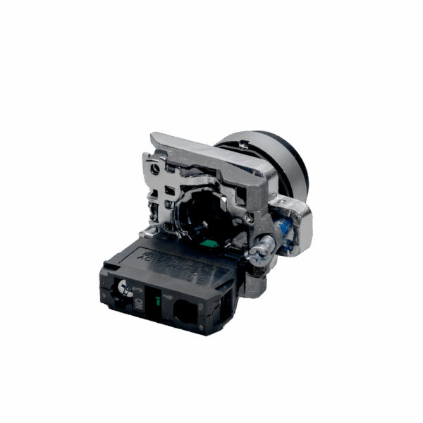 MTB4-BL21