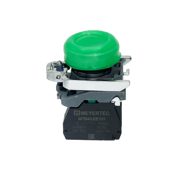MTB4-BP31