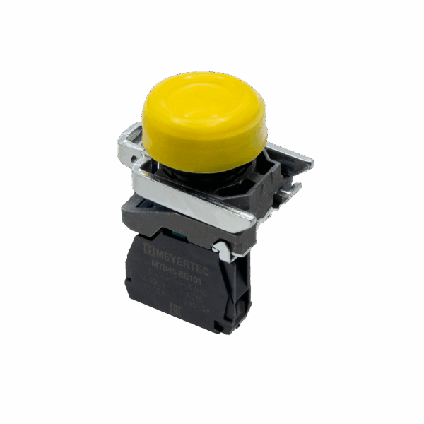 MTB4-BP51