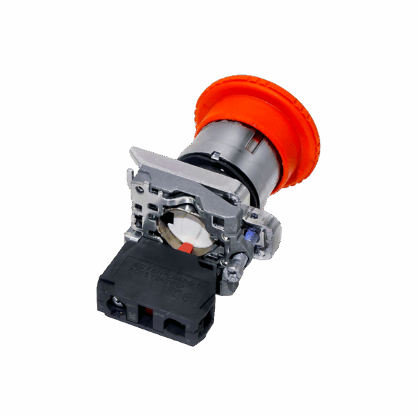MTB4-BS542