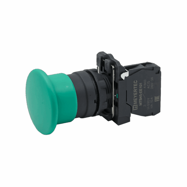 MTB5-AC31