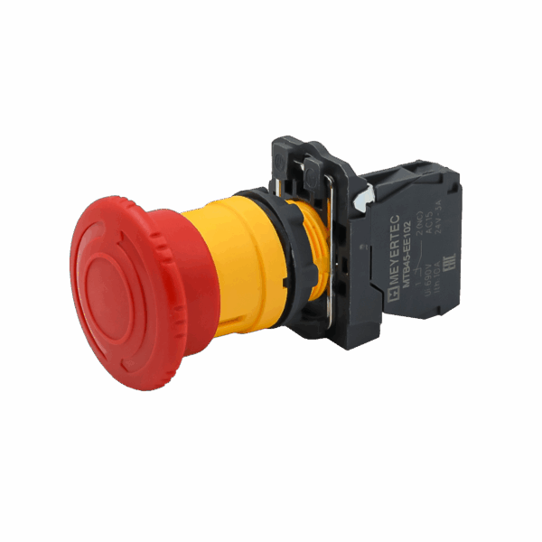 MTB5-AS542