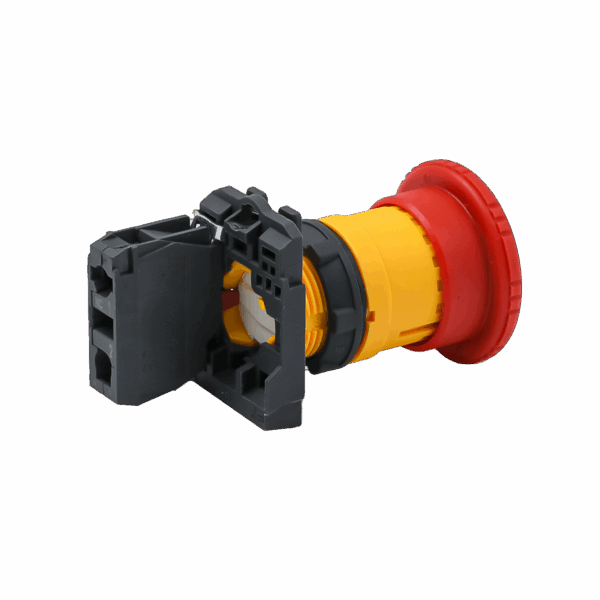 MTB5-AS542