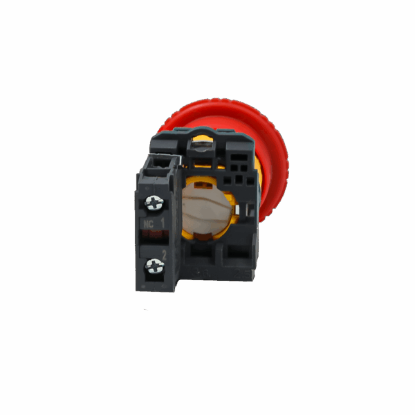 MTB5-AS542