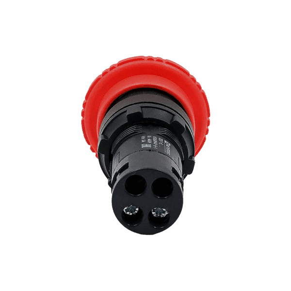 MTB7-ES542
